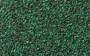 zelenii-1