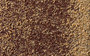 cedar-braun-1